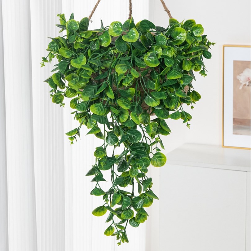 Foglie di Eucalipto e Felce Ar - Rattan Plant Basket recensione e prezzo