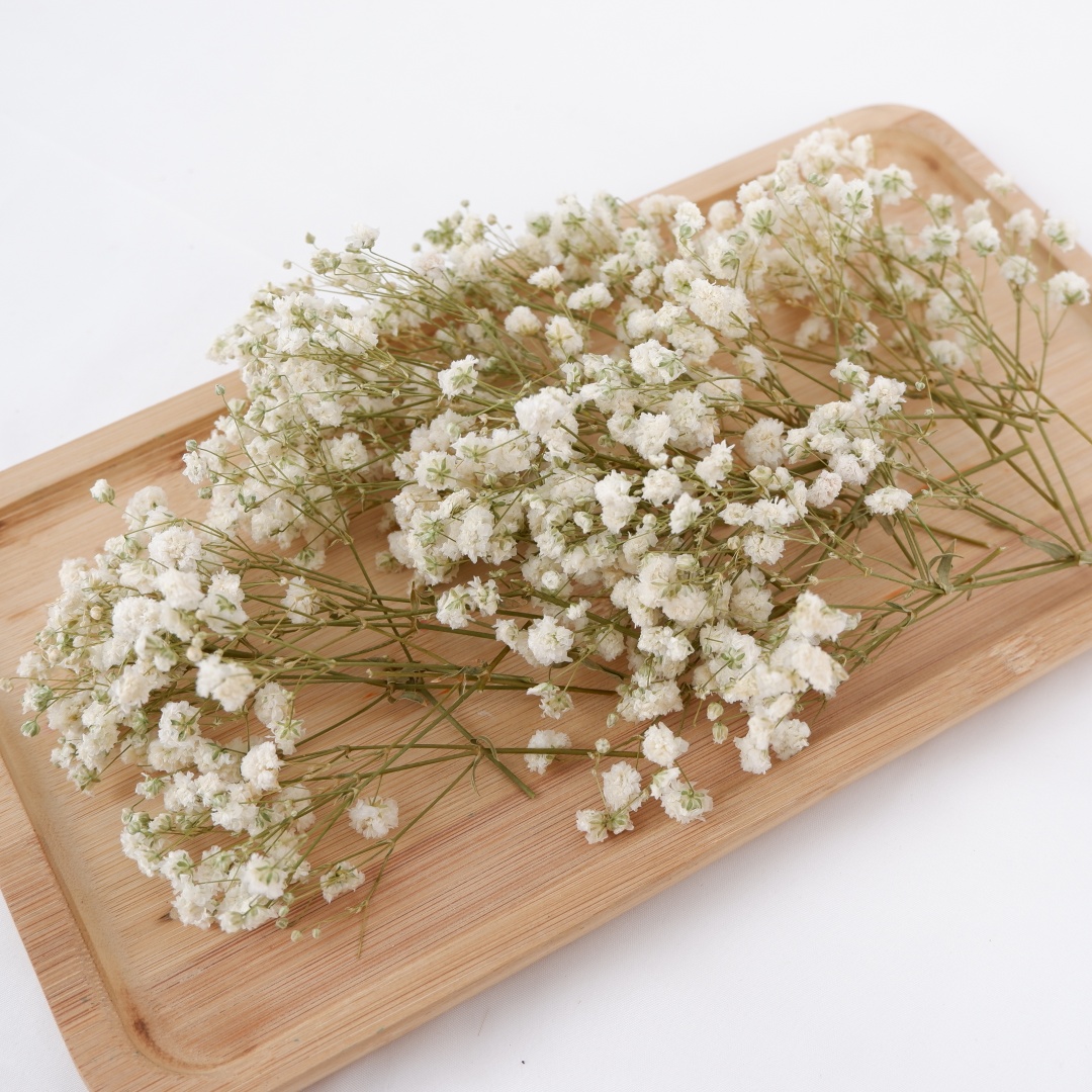Fiori secchi Mini bambini secc - Home Decor Vase With Flowers recensione e prezzo
