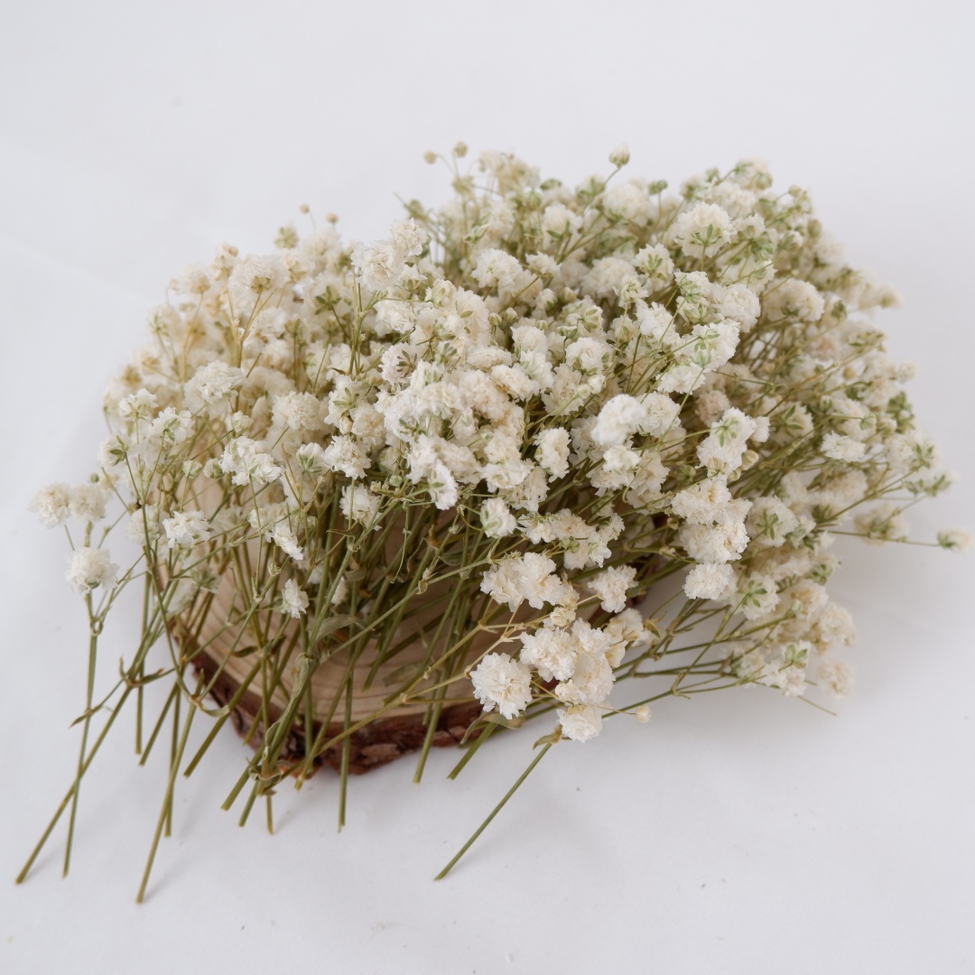 Fiori secchi Mini bambini secc - Home Decor Vase With Flowers recensione e prezzo