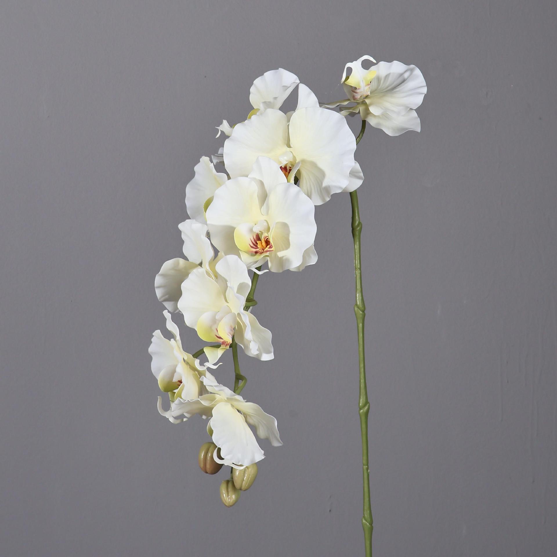 Phalaenopsis artificiale in st - Home Decor Korea recensione e prezzo