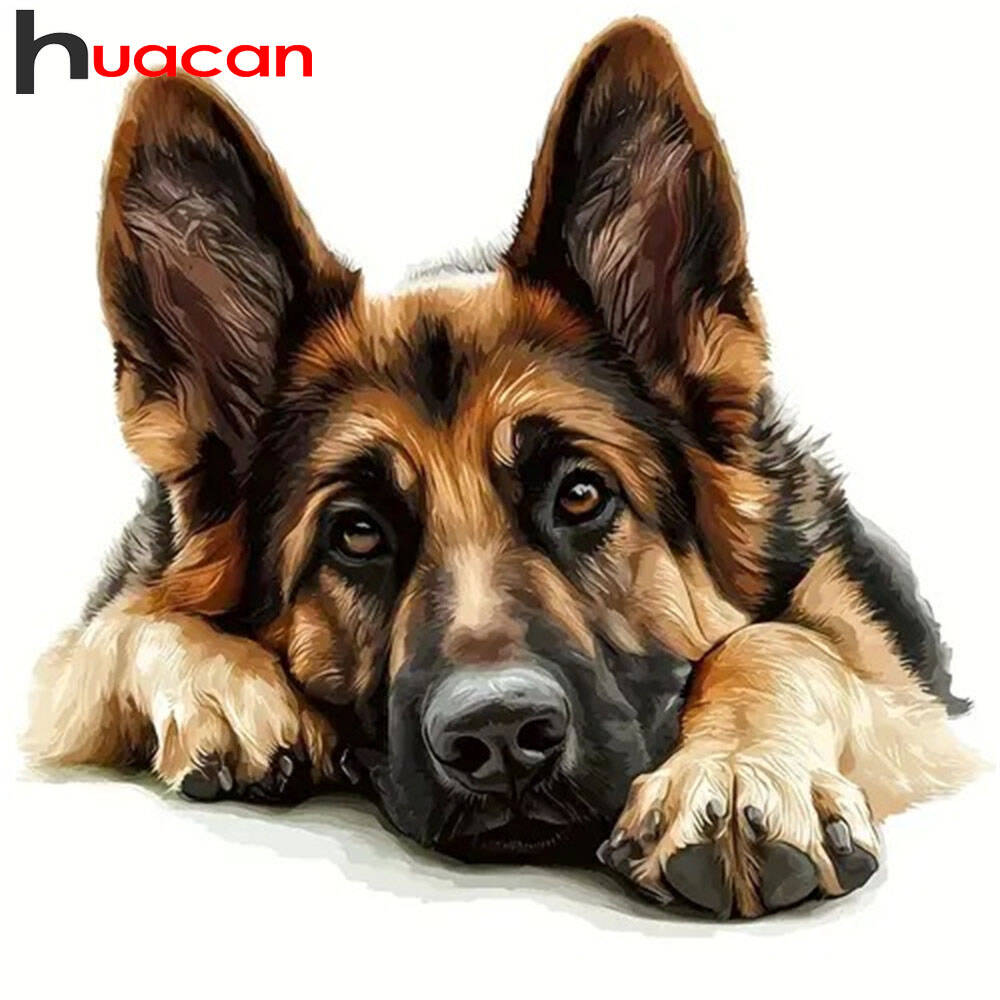 Huacan 2025 Nuova collezione D - Germany Home Decor recensione e prezzo