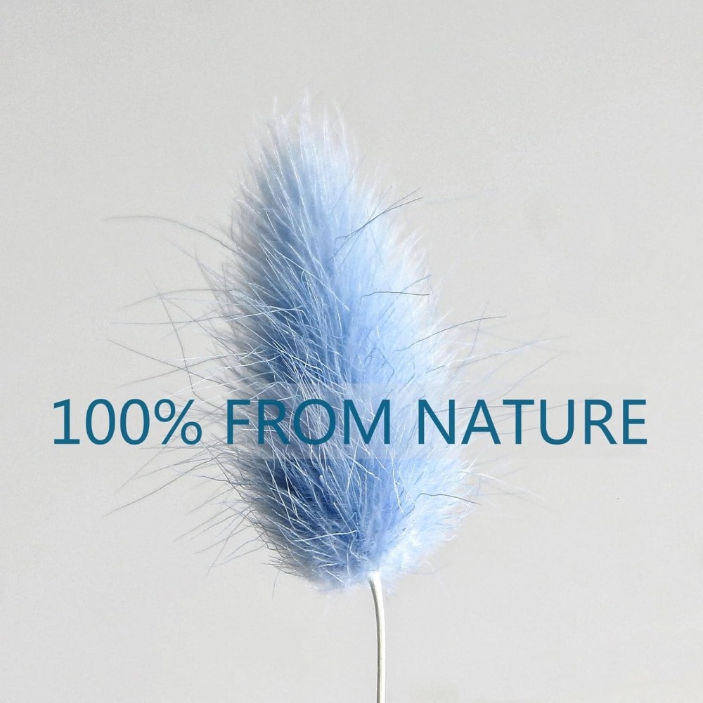 100 pezzi blu coda di lepre er - Home Decor Vase With Flowers recensione e prezzo